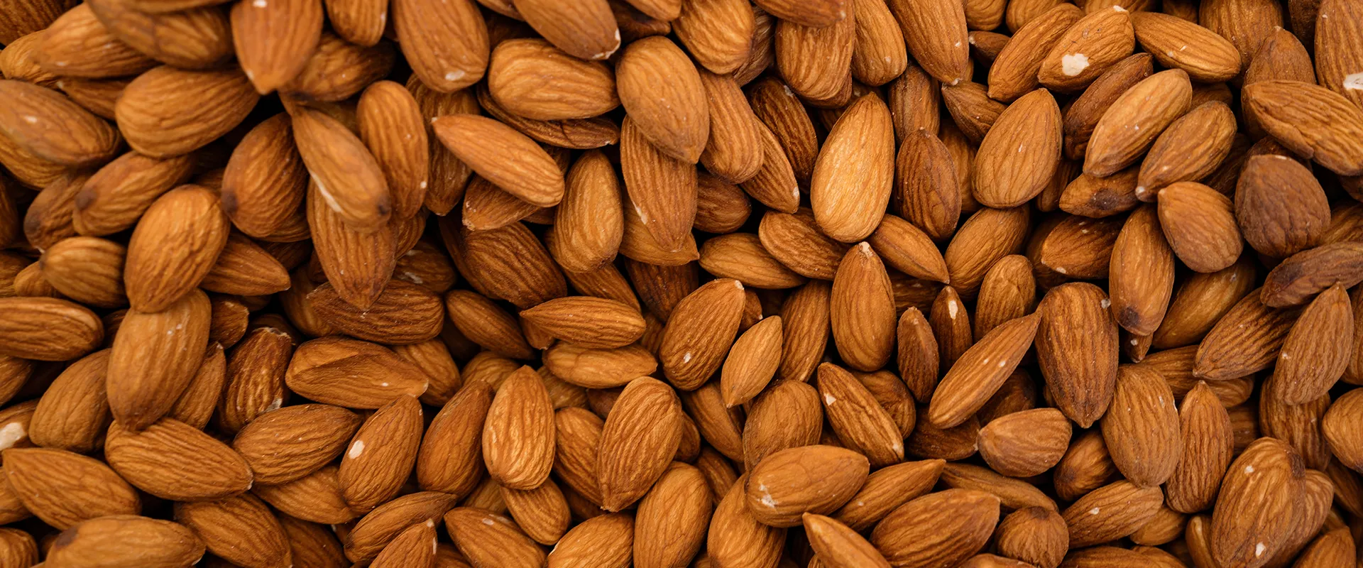 Img Beneficios y Cultivo de Almendras Ecologicas 3 Img Beneficios y Cultivo de Almendras Ecologicas 2